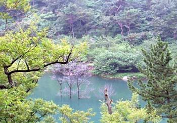 Mt. Laoshan: 
Shandong - Qingdao; 
Travel in Qingdao, Shandong 