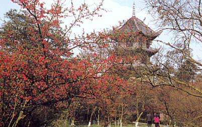 Thatched Cottage of Du Fu: 
Sichuan - Chengdu; 
Travel in Chengdu, Sichuan 