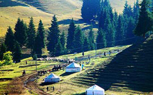 Southern Pastures (West White Poplar Gully): 
Xinjiang - Urumqi; 
Travel in Urumqi, Xinjiang 