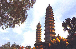 Taiyuan City: 
Shanxi - Taiyuan; 
Profile in Taiyuan, Shanxi 