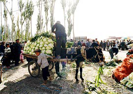 Kashgar City: 
Xinjiang - Kashgar; 
Profile in Kashgar, Xinjiang 